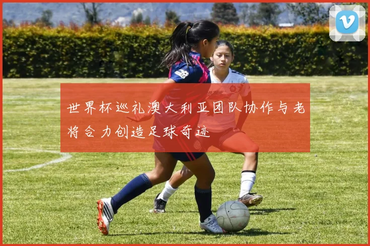 世界杯巡礼澳大利亚团队协作与老将合力创造足球奇迹